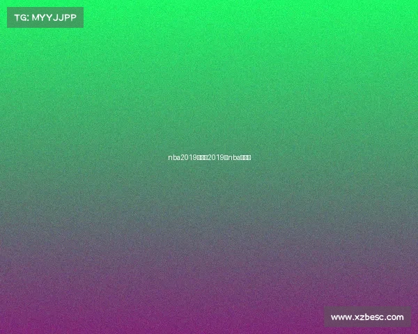 nba2019年赛事2019年nba的比赛