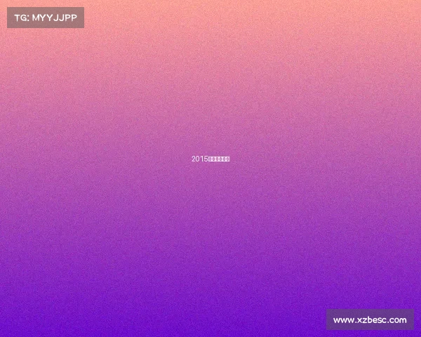 2015年全国残奥会