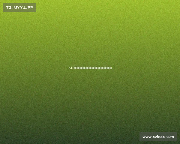 ATP男子职业网球巡回赛全球顶尖选手激烈对决竞技风采盛宴