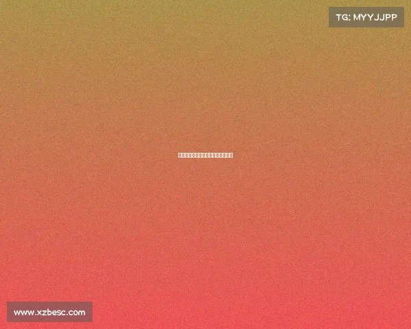 看体育赛事网站、体育赛事网站源码