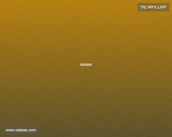 中国排球比赛情况